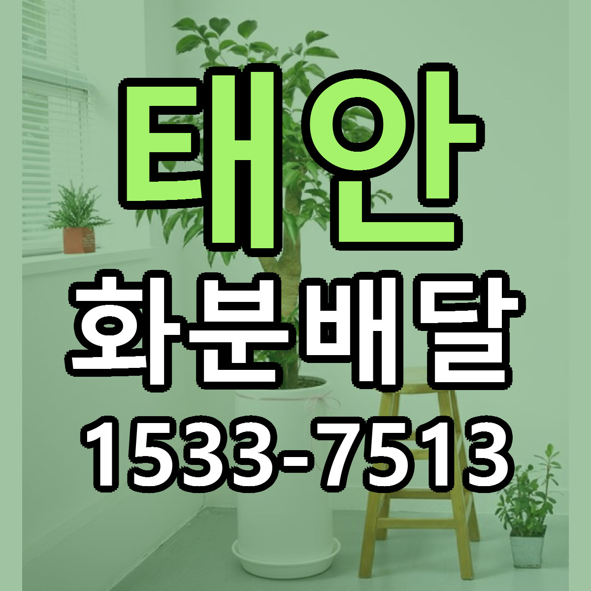 태안 화분배달 싼곳 당일배송 빠른배송 추천