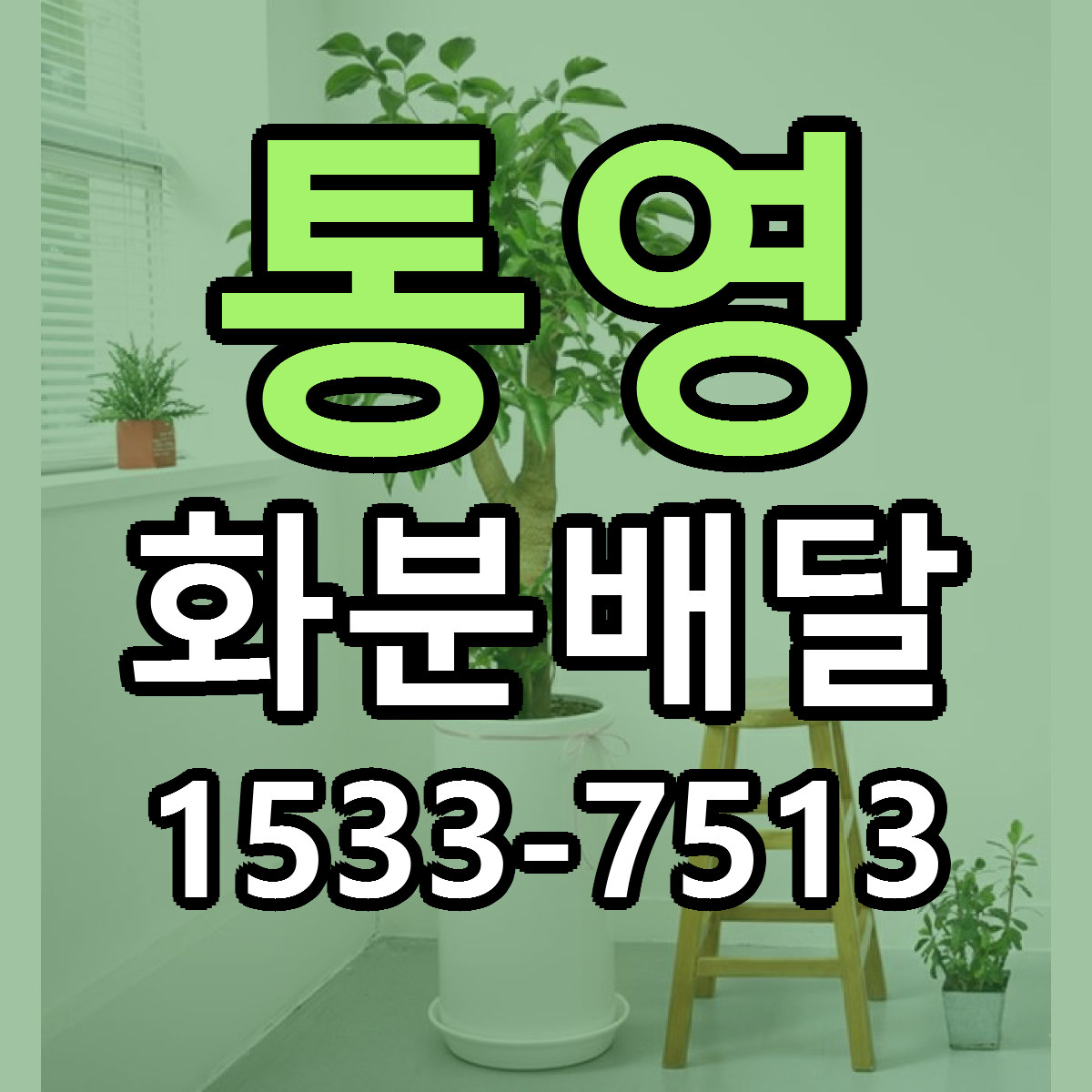 통영 화분배달 당일배송 리본문구 싼곳 찾기