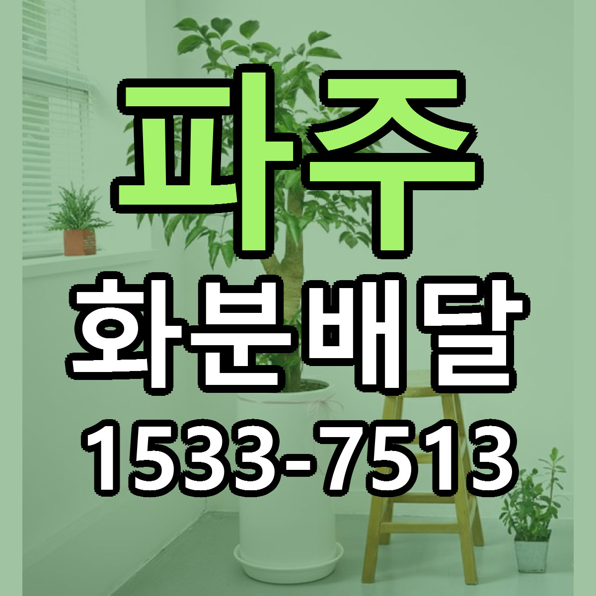 파주 화분배달 근처꽃집 당일배송 싼곳 추천