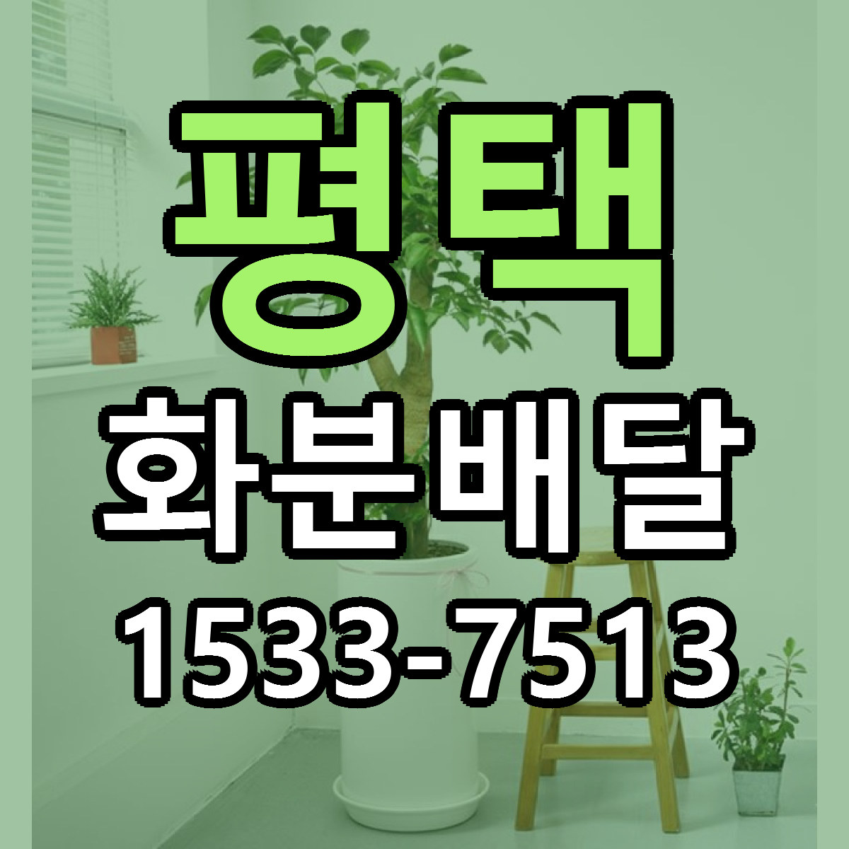 평택 화분배달 싼곳 당일배송 리본문구 작성