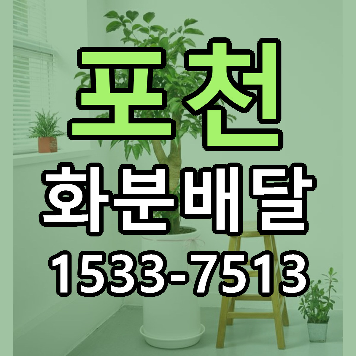 포천 화분배달 저렴한곳 당일배송 가격 만족