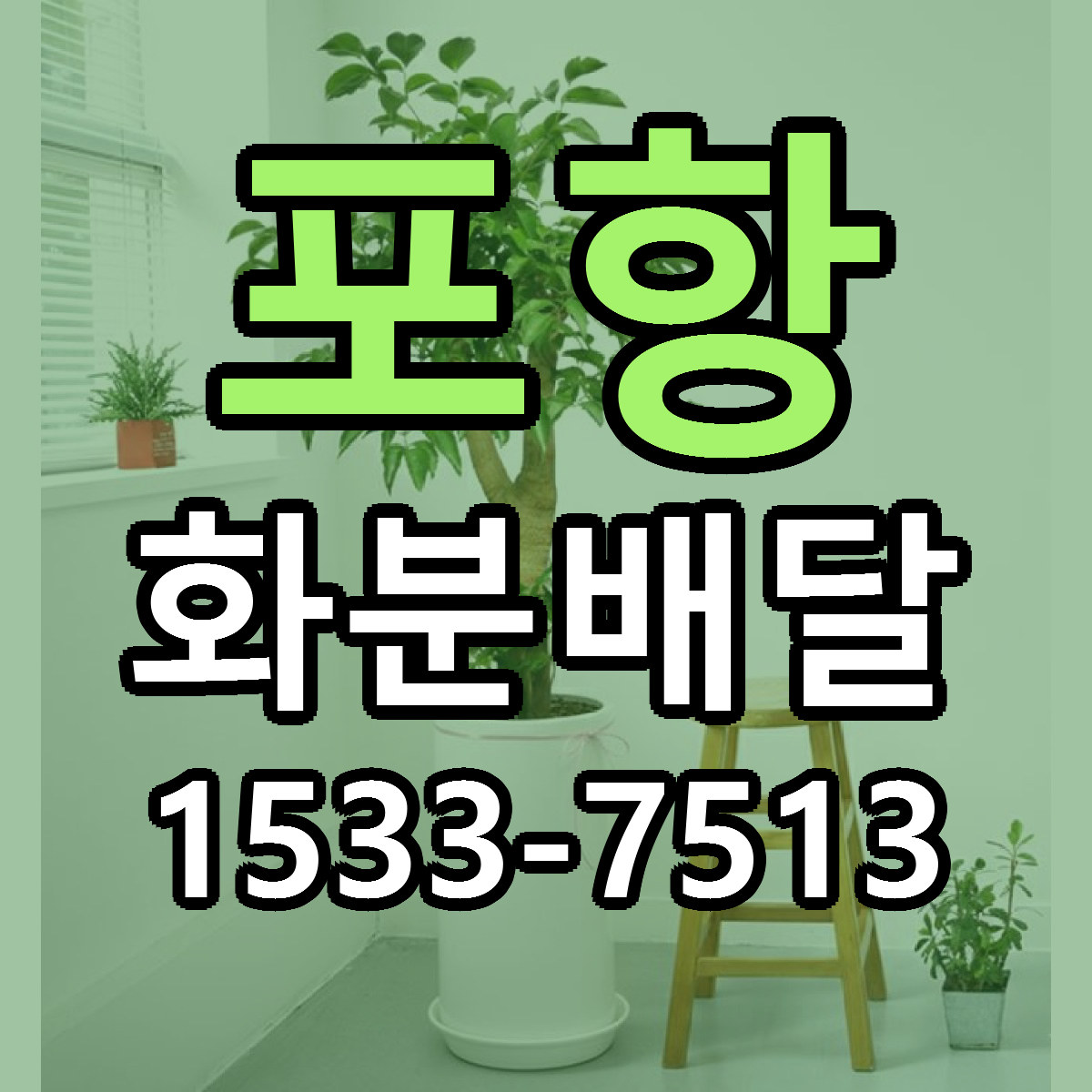 포항 화분배달 리본문구 서비스 저렴한곳 빠른배송