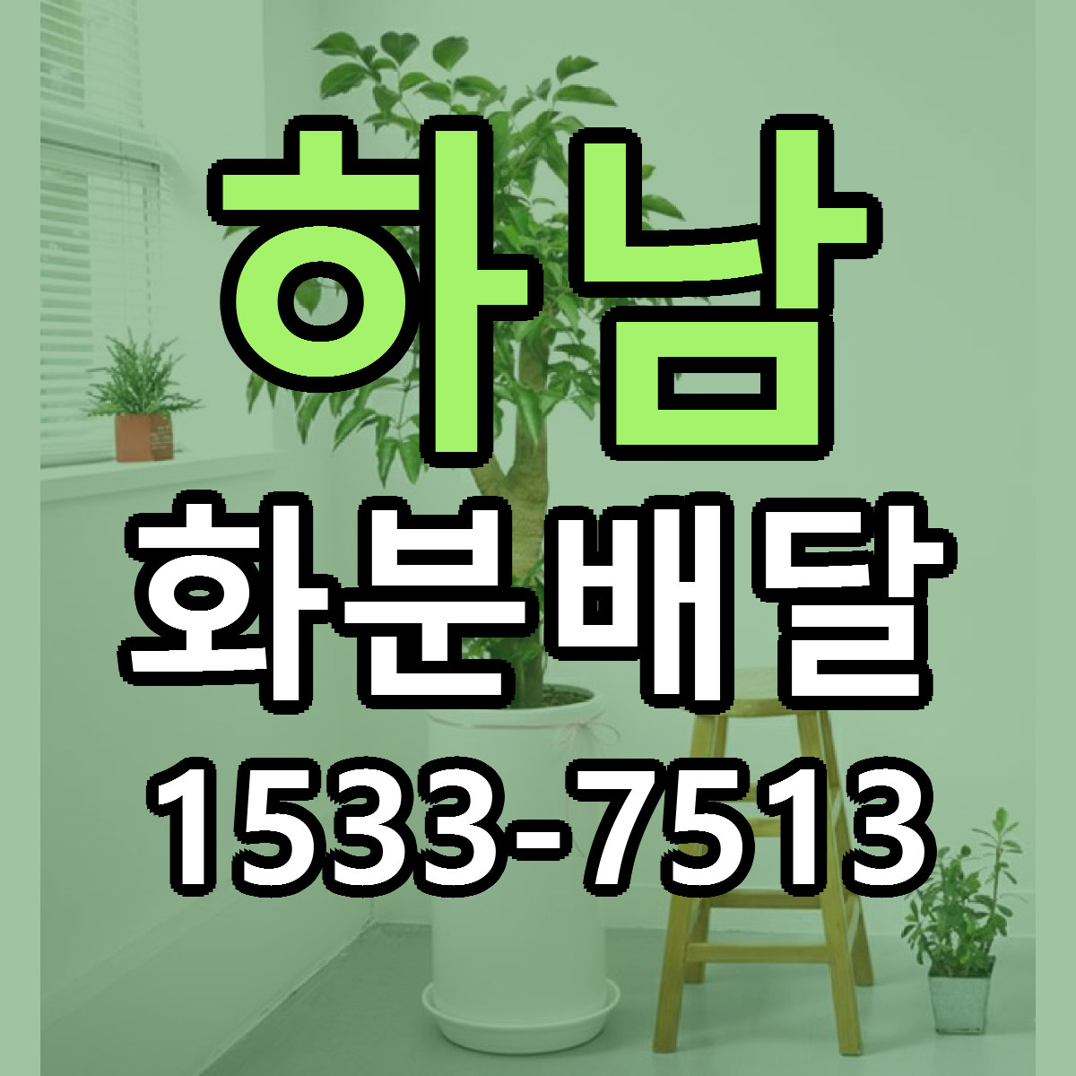 하남 화분배달 당일배송 가격 저렴한곳 추천