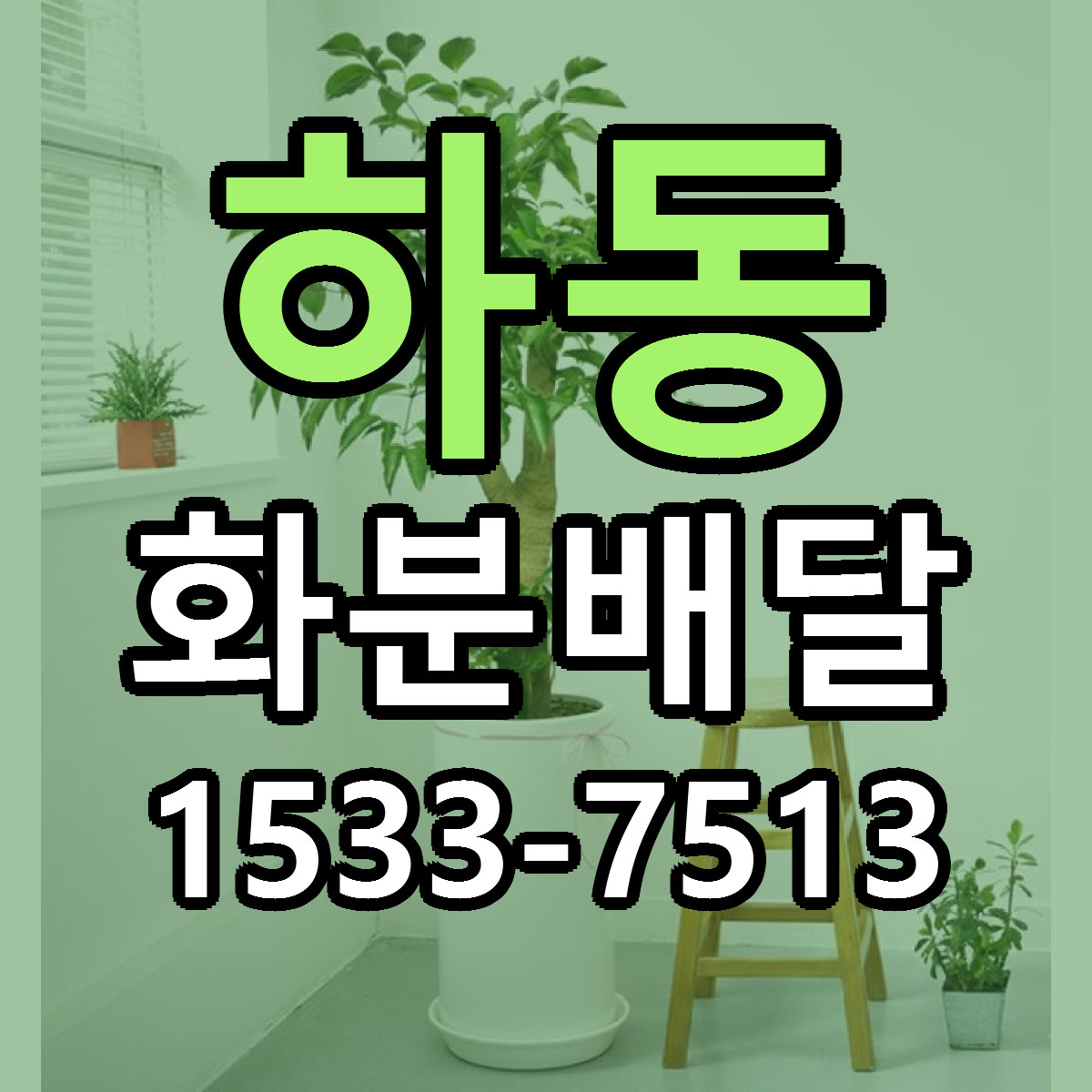 하동 화분배달 빠른배송 가격 저렴한곳 찾기