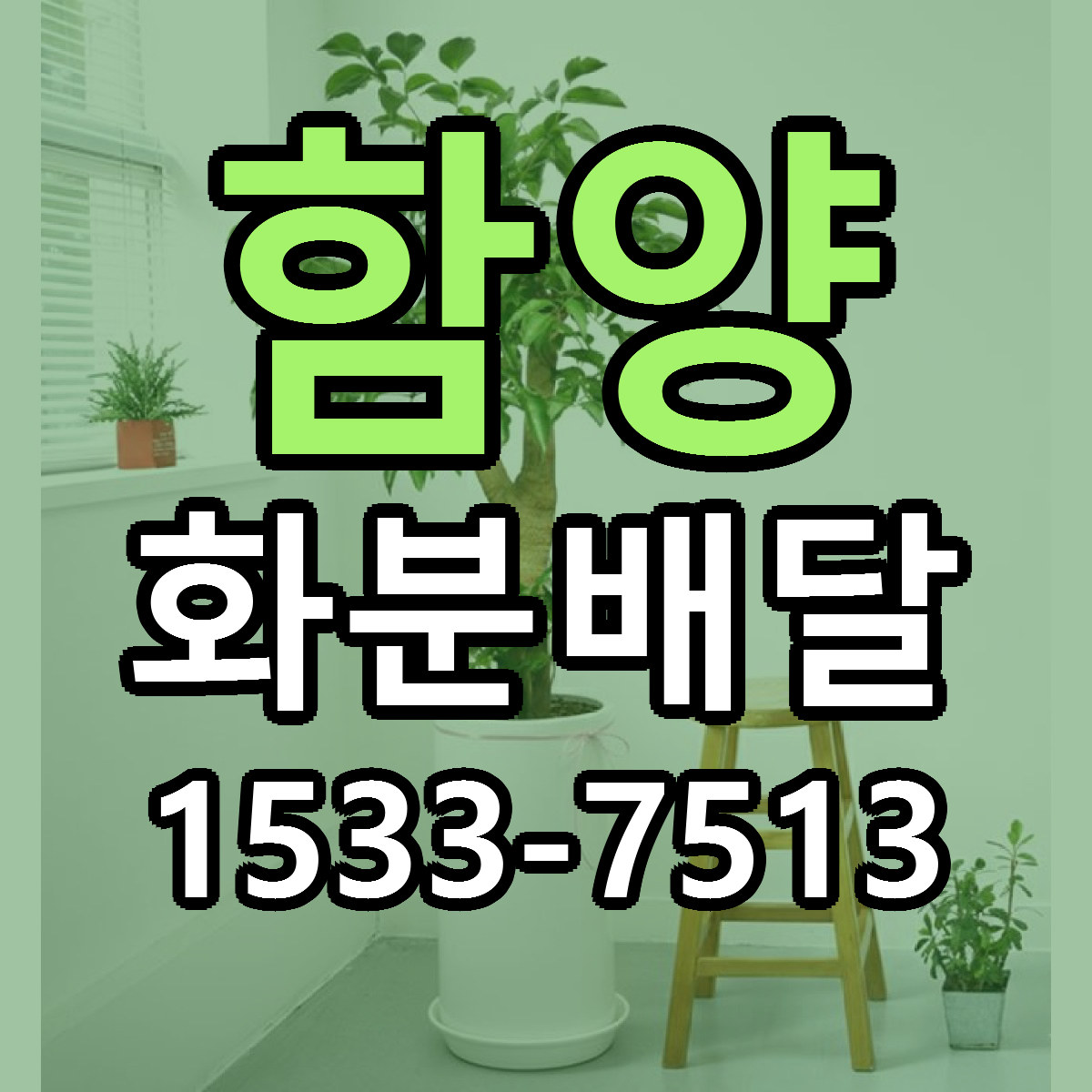 함양 화분배달 근처꽃집 가격 저렴한곳 안내