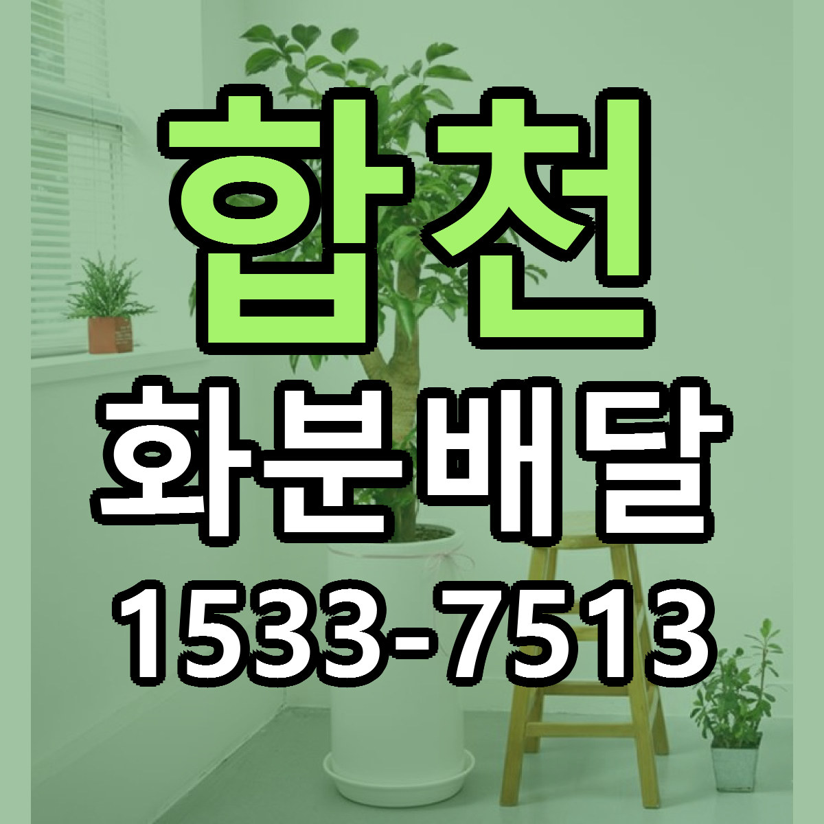 합천 화분배달 가격 만족 저렴한곳 리본문구 작성
