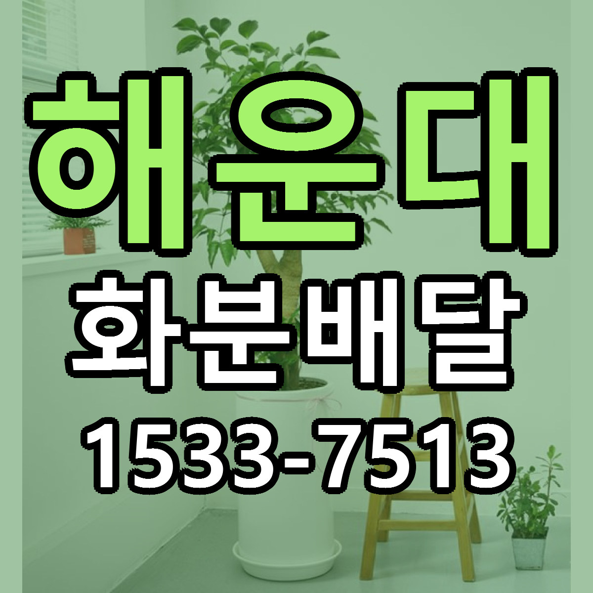 해운대 화분배달 당일배송 가격 저렴한곳 추천