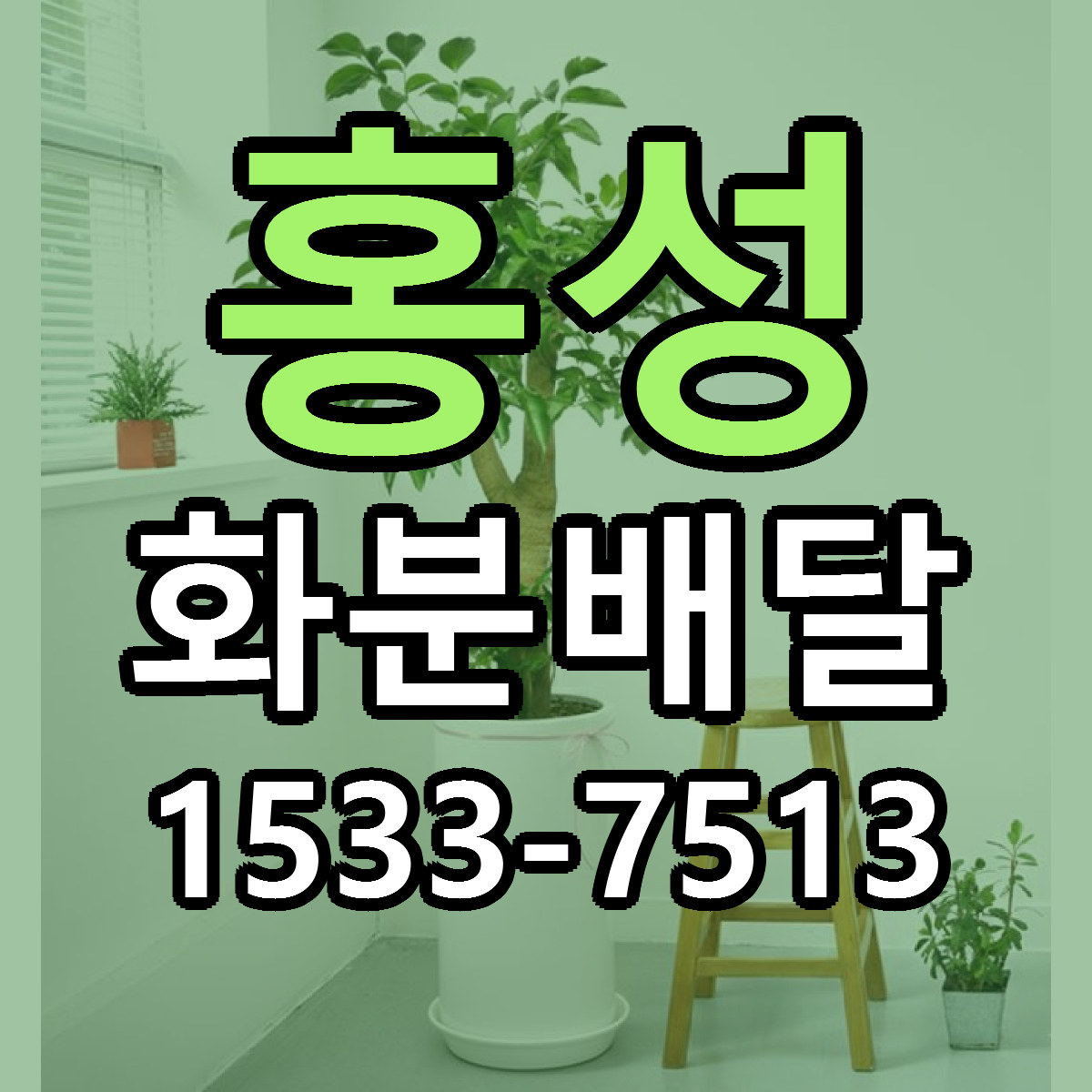 홍성 화분배달 당일배송 근처꽃집 싼곳 비교