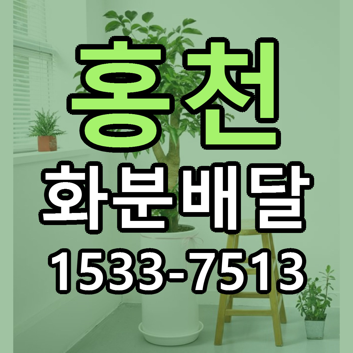 홍천 화분배달 근처꽃집 저렴한곳 빠른배송 서비스