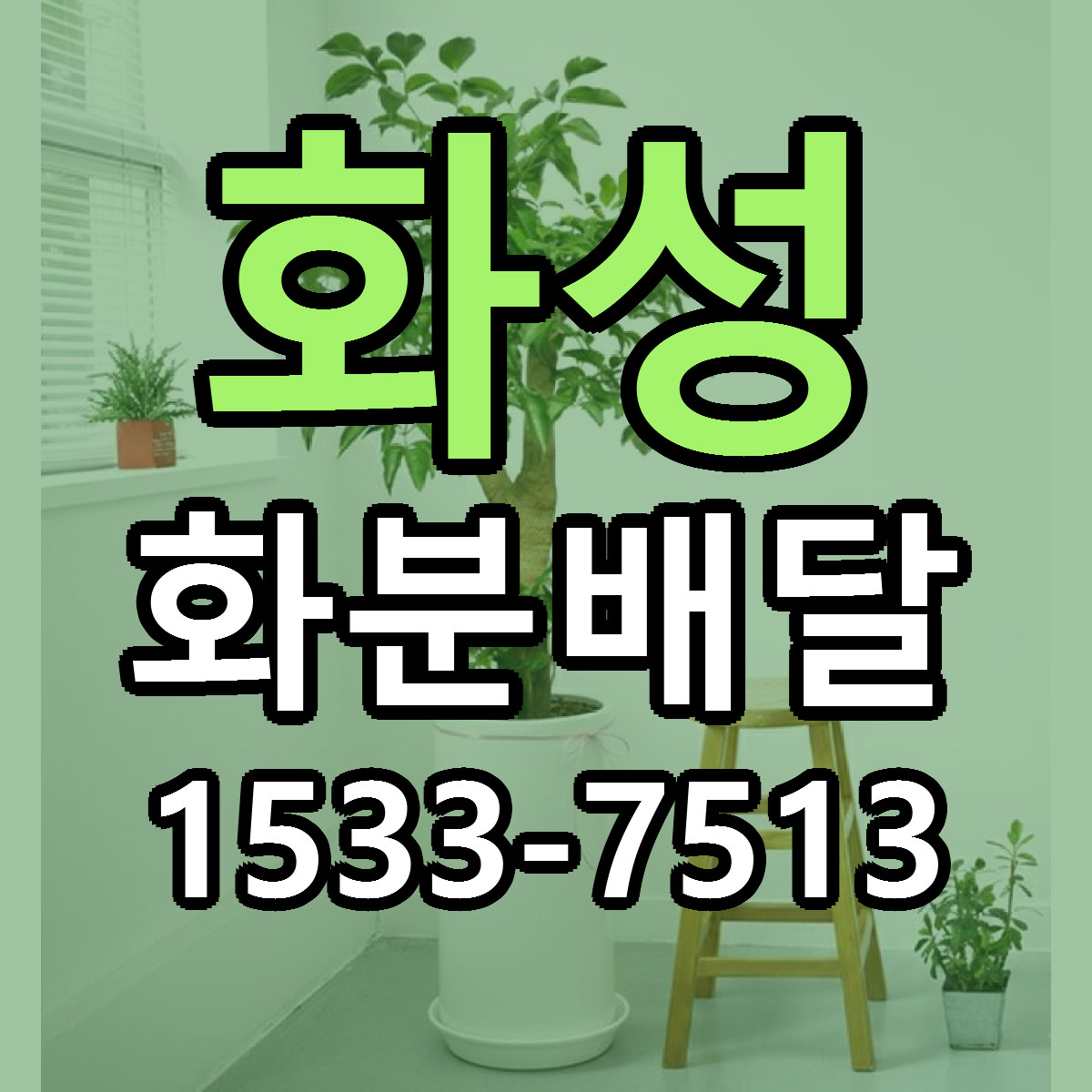 화성 화분배달 근처꽃집 가격 저렴한곳 안내