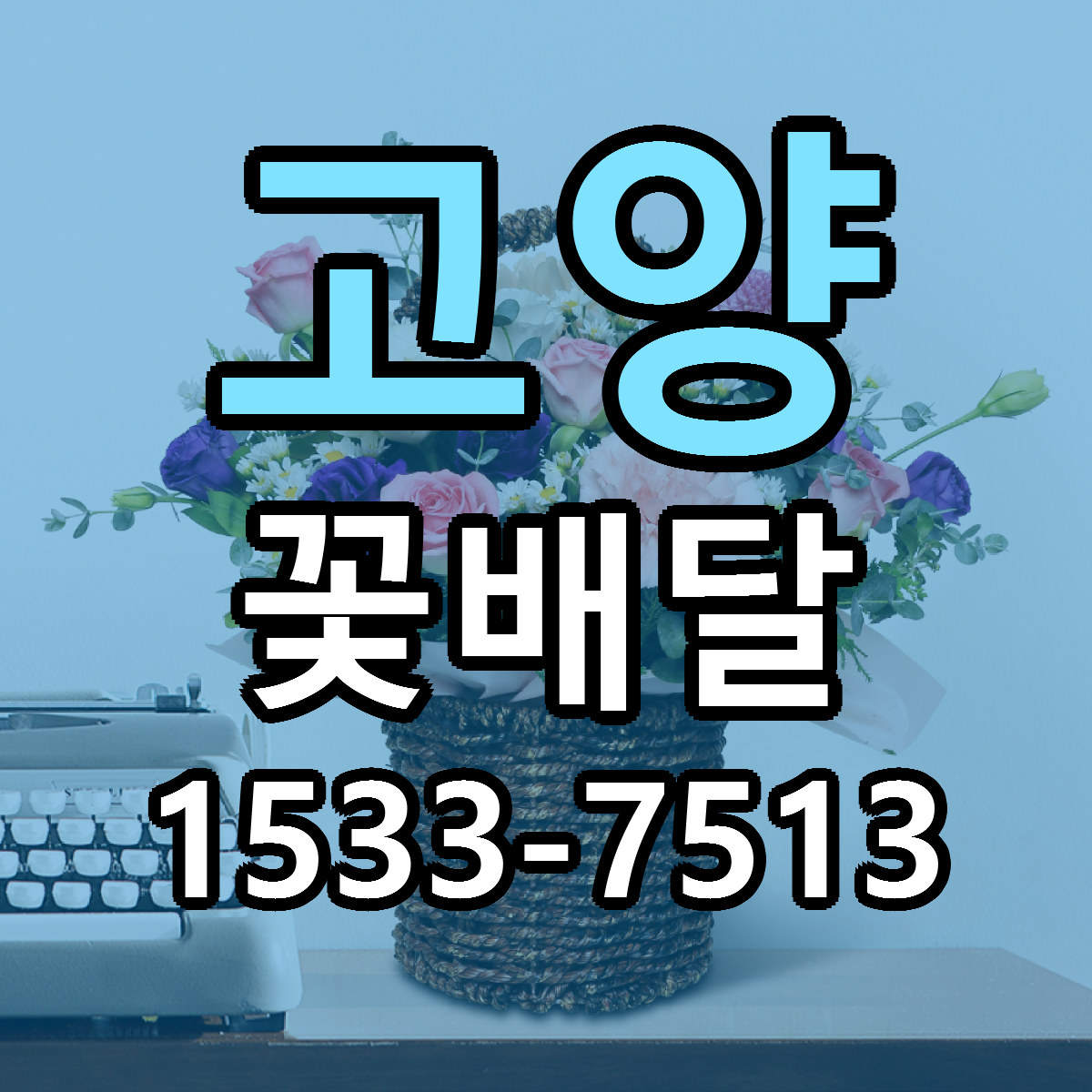 고양 꽃배달 당일배송 근처꽃집 싼곳 비교