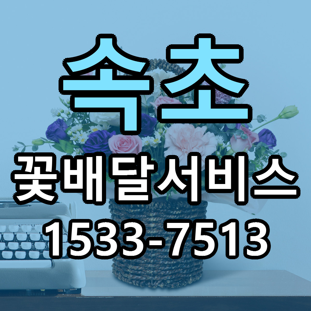 속초 꽃배달서비스 당일배송 근처꽃집 싼곳 비교