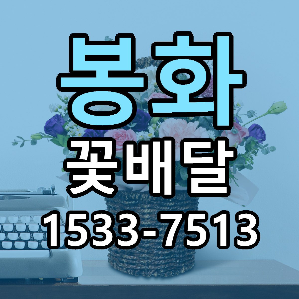 봉화 꽃배달 근처꽃집 당일배송 싼곳 추천