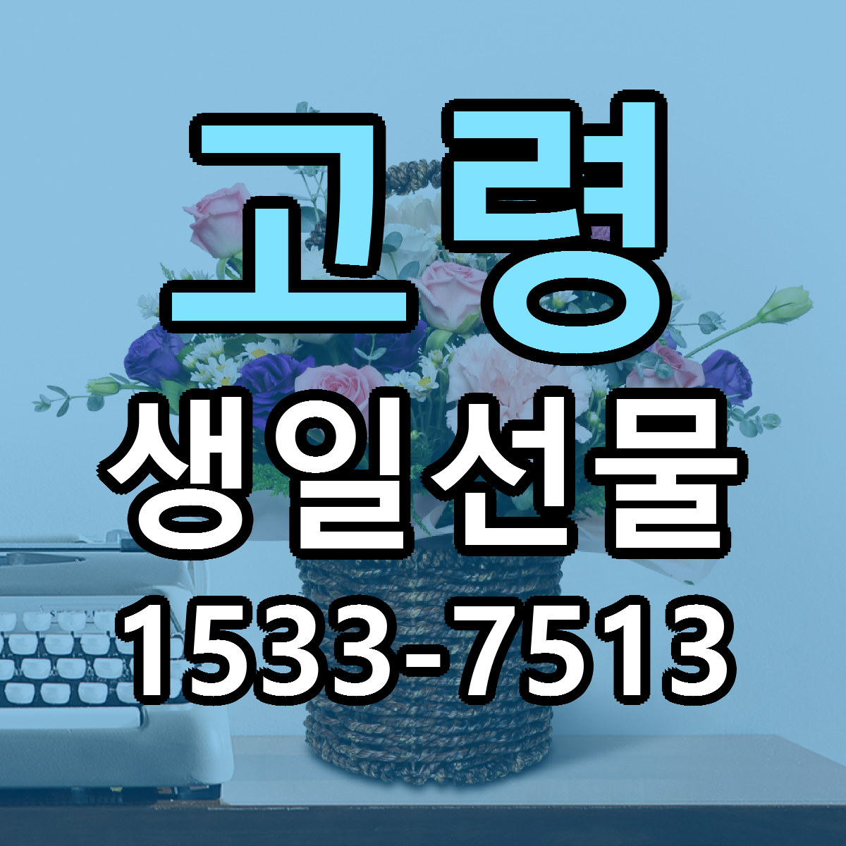 고령 생일선물 당일배송 가격 저렴한곳 추천