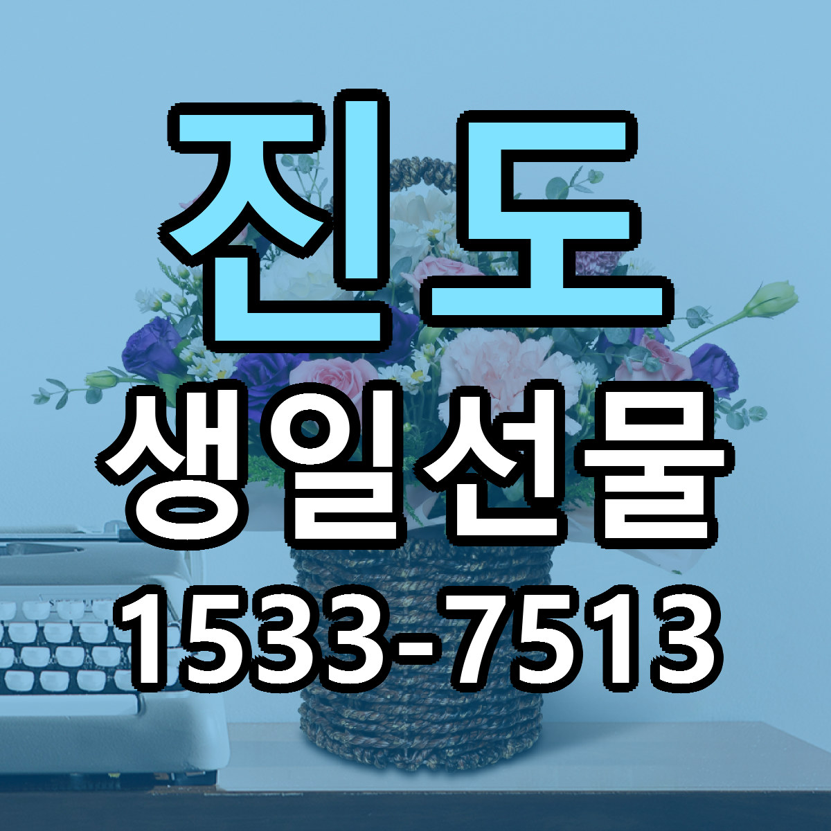 진도 생일선물 빠른배송 싼곳 가격 문의