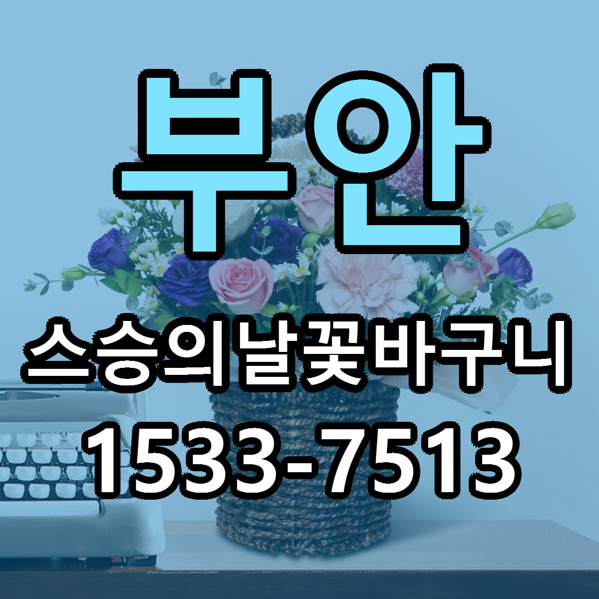 부안 스승의날꽃바구니 근처꽃집 당일배송 싼곳 추천