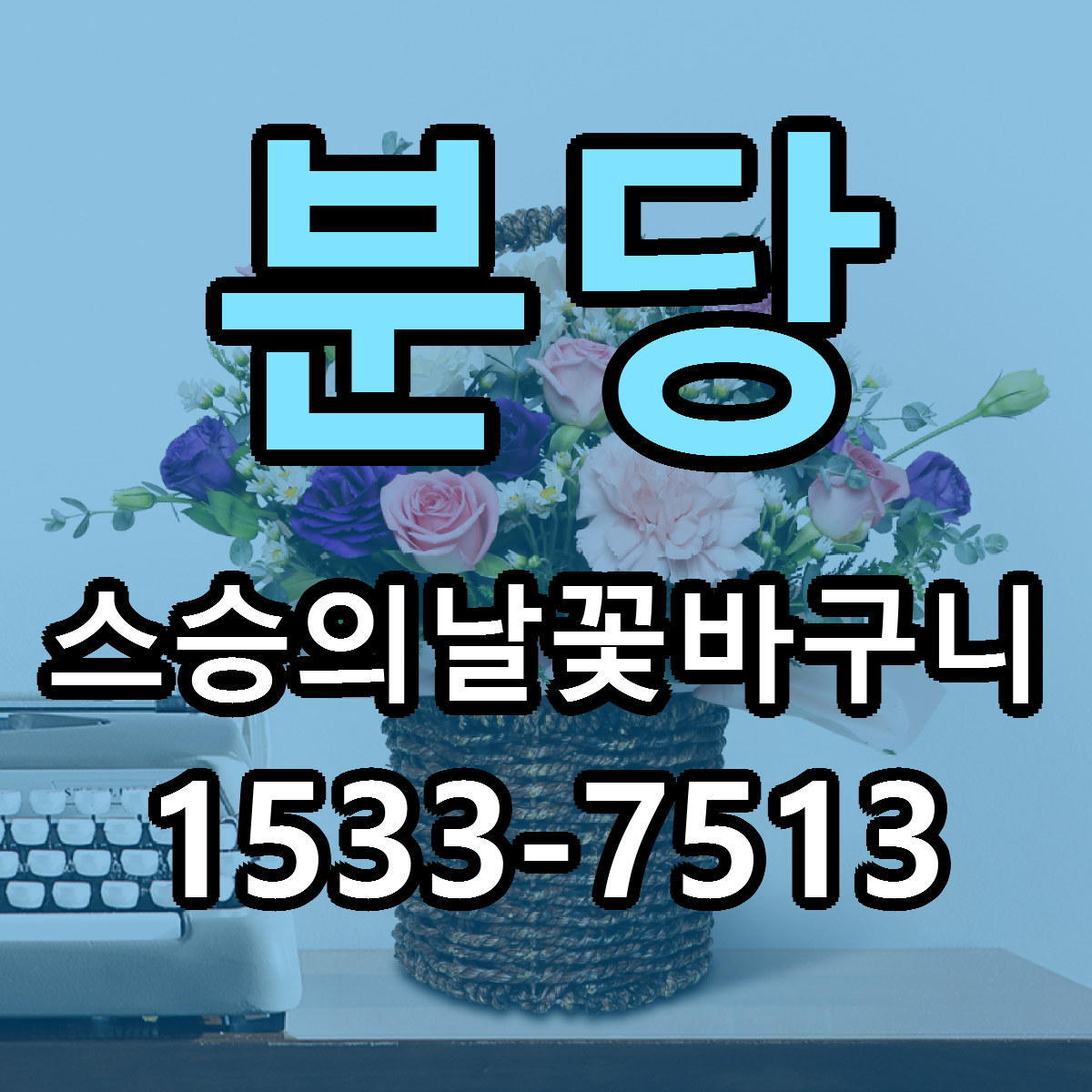분당 스승의날꽃바구니 빠른배송 싼곳 가격 문의