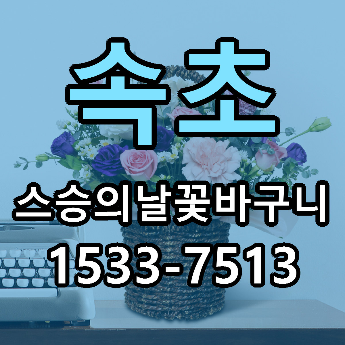 속초 스승의날꽃바구니 근처꽃집 빠른배송 가격 문의