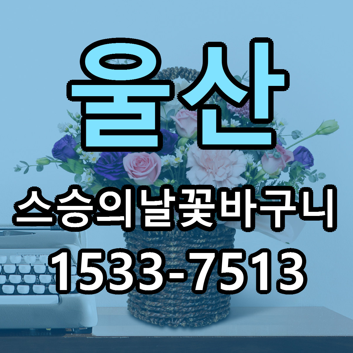 울산 스승의날꽃바구니 싼곳 당일배송 빠른배송 추천