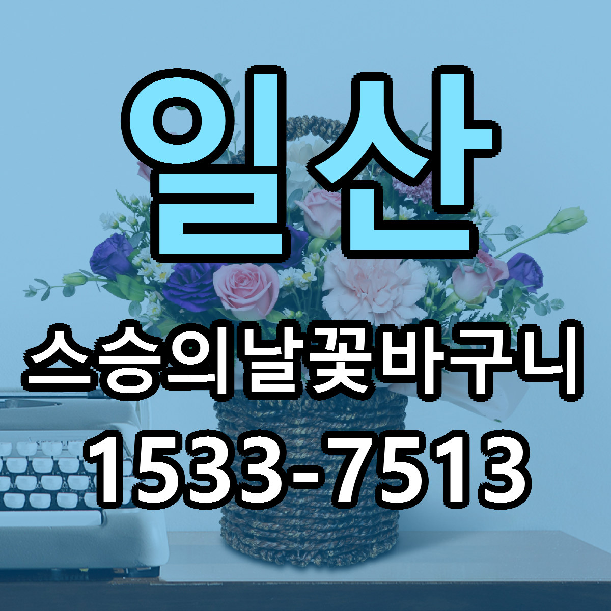 일산 스승의날꽃바구니 근처꽃집 당일배송 싼곳 추천
