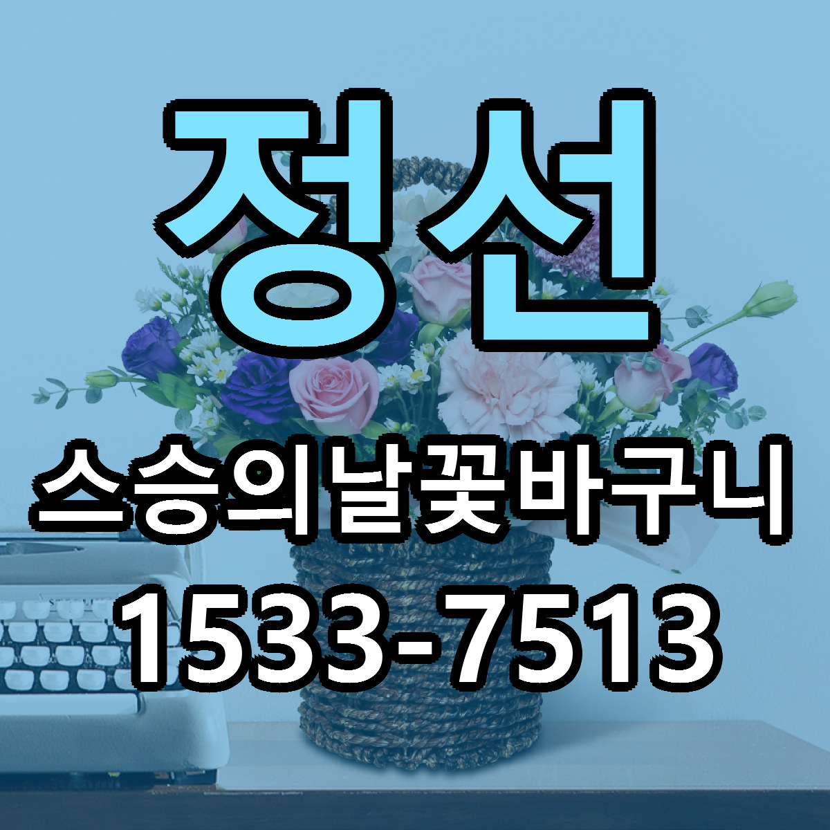 정선 스승의날꽃바구니 빠른배송 근처꽃집 가격 비교