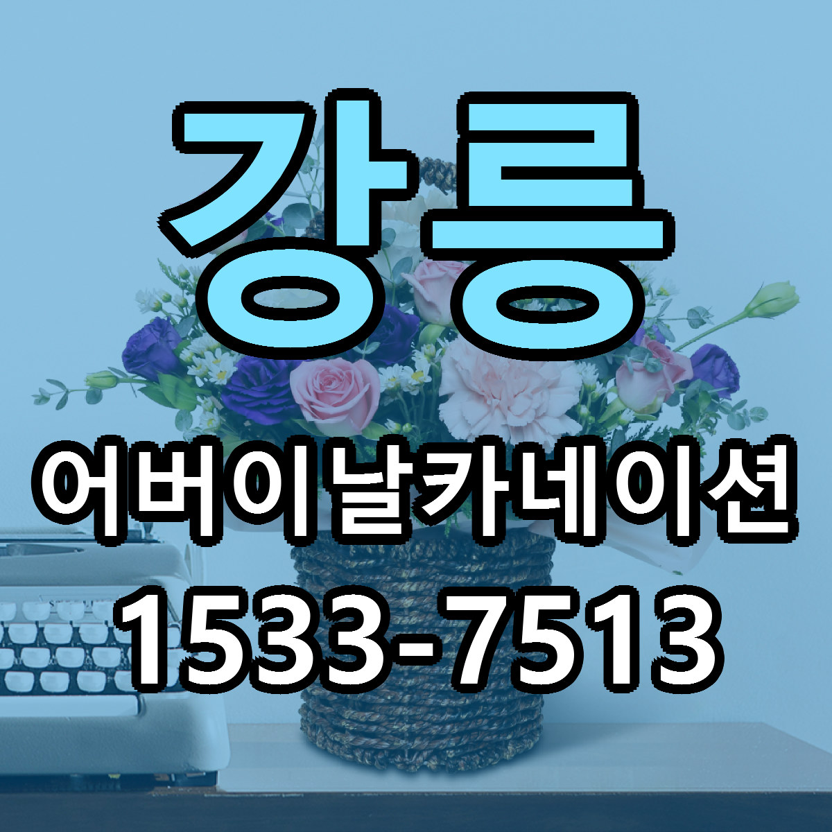 강릉 어버이날카네이션 저렴한곳 당일배송 근처꽃집 추천