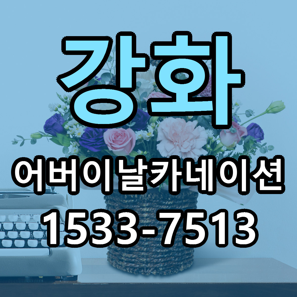 강화 어버이날카네이션 빠른배송 리본문구 가격 알뜰 비교