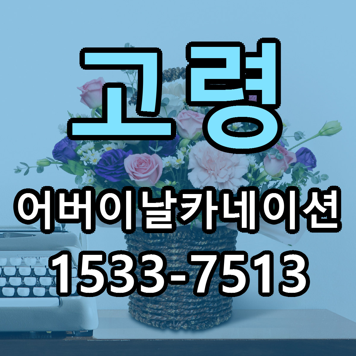 고령 어버이날카네이션 빠른배송 근처꽃집 가격 비교