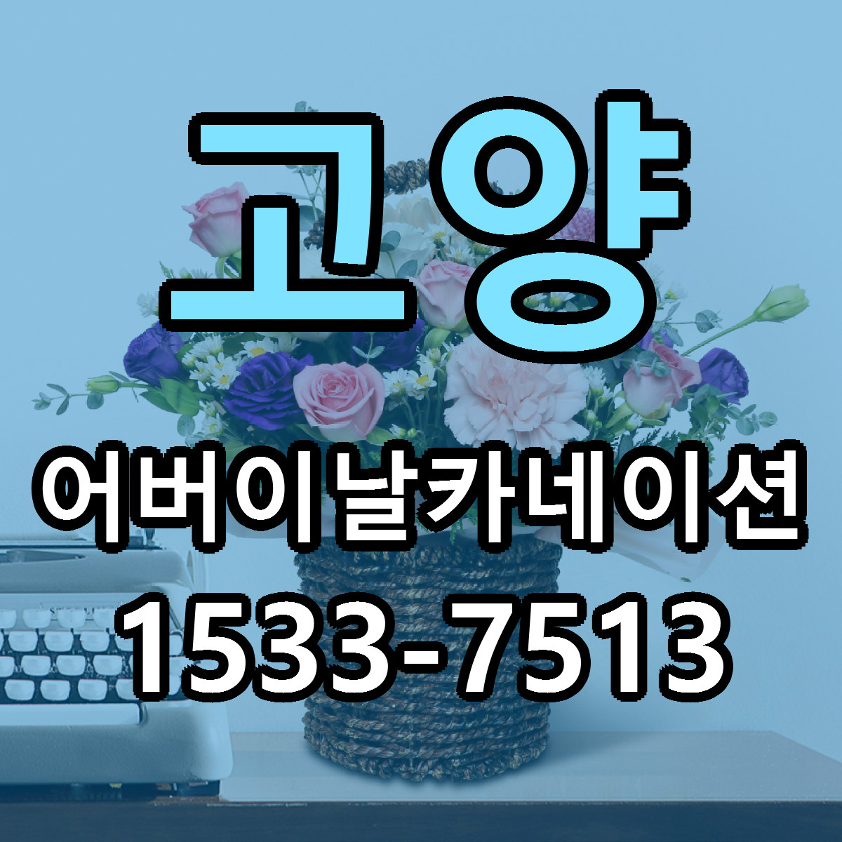 고양 어버이날카네이션 빠른배송 리본문구 근처꽃집 예약