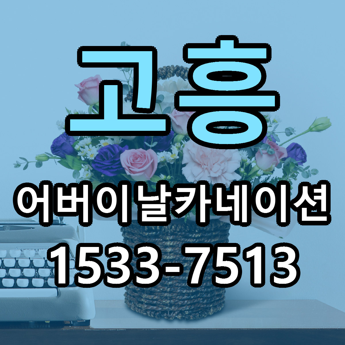 고흥 어버이날카네이션 빠른배송 리본문구 가격 알뜰 비교