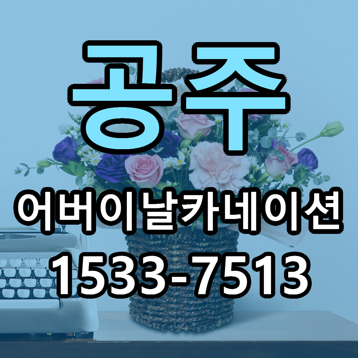 공주 어버이날카네이션 빠른배송 저렴한곳 가격 정리