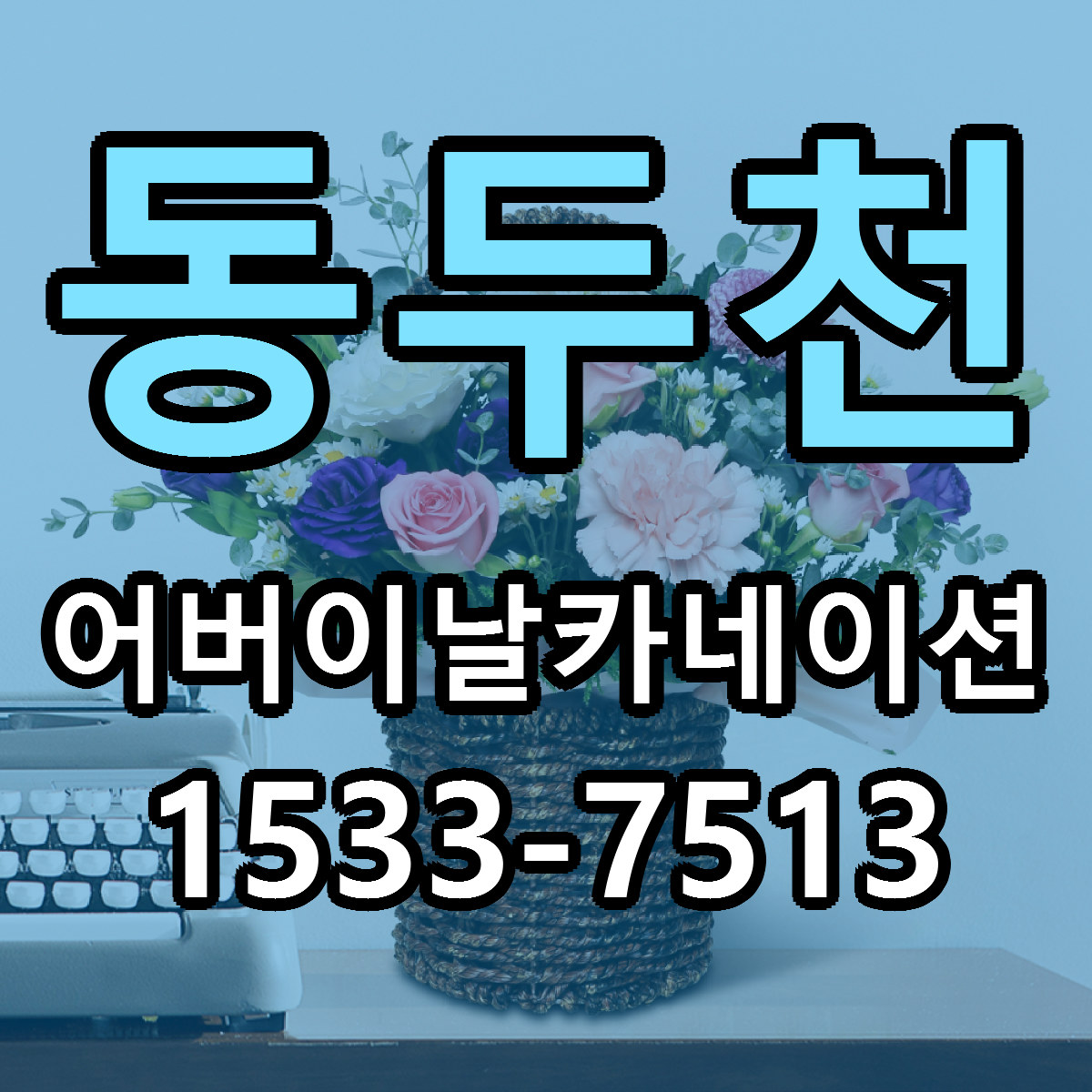동두천 어버이날카네이션 빠른배송 싼곳 가격 문의