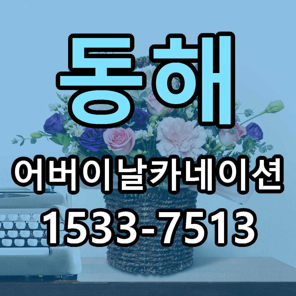 동해 어버이날카네이션 근처꽃집 저렴한곳 빠른배송 서비스