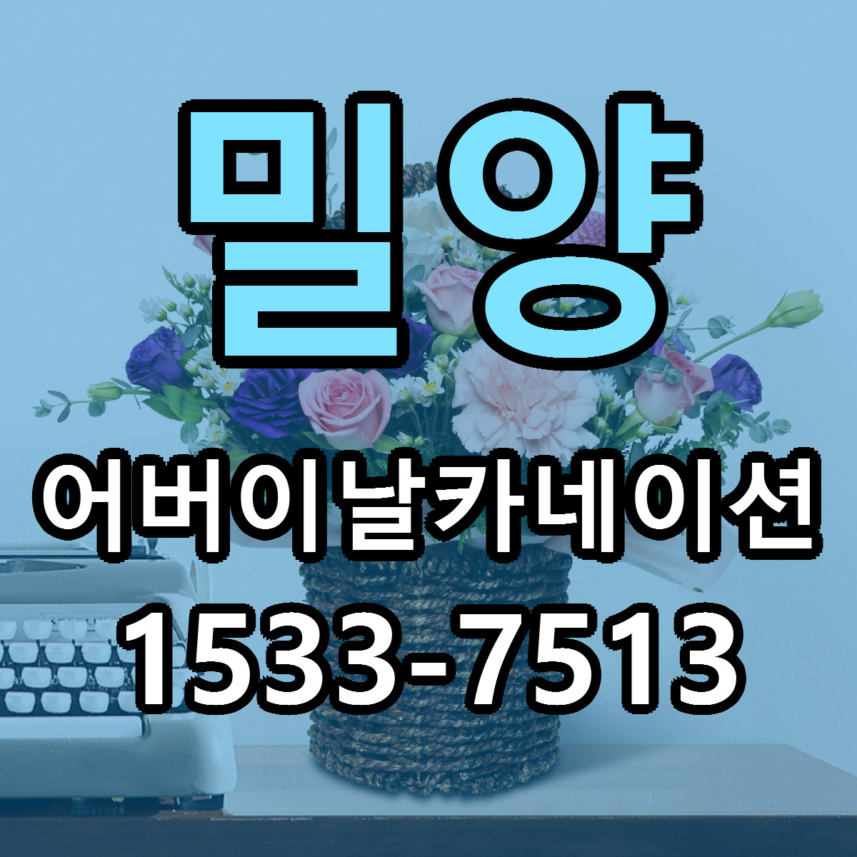 밀양 어버이날카네이션 근처꽃집 저렴한곳 빠른배송 서비스