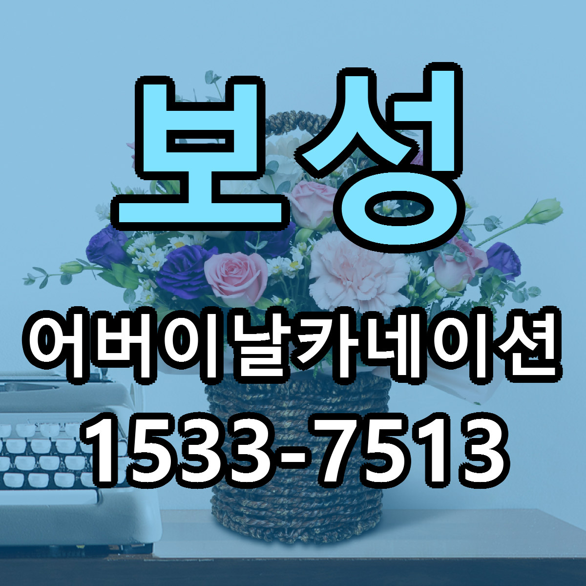 보성 어버이날카네이션 근처꽃집 저렴한곳 빠른배송 서비스