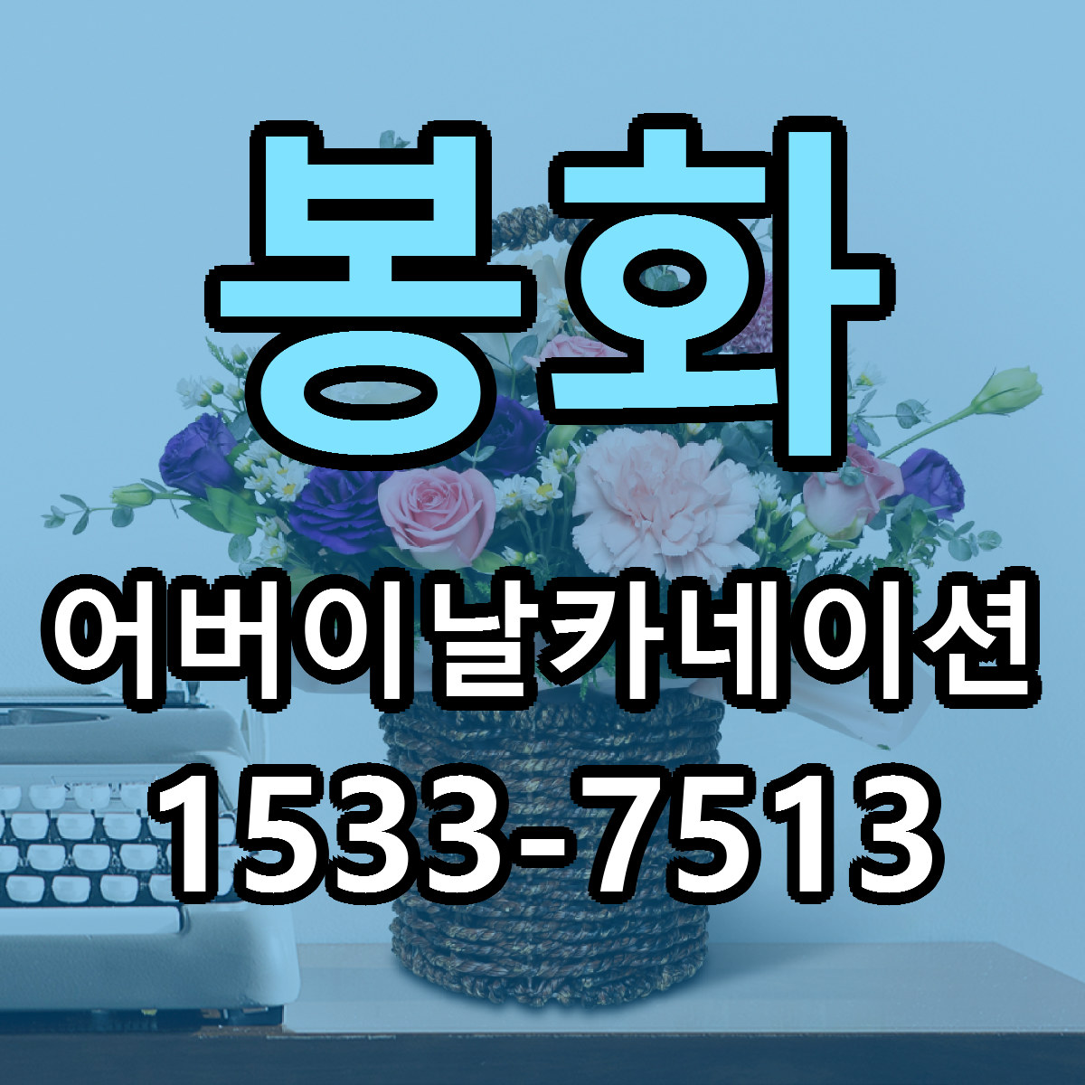 봉화 어버이날카네이션 근처꽃집 가격 저렴한곳 안내