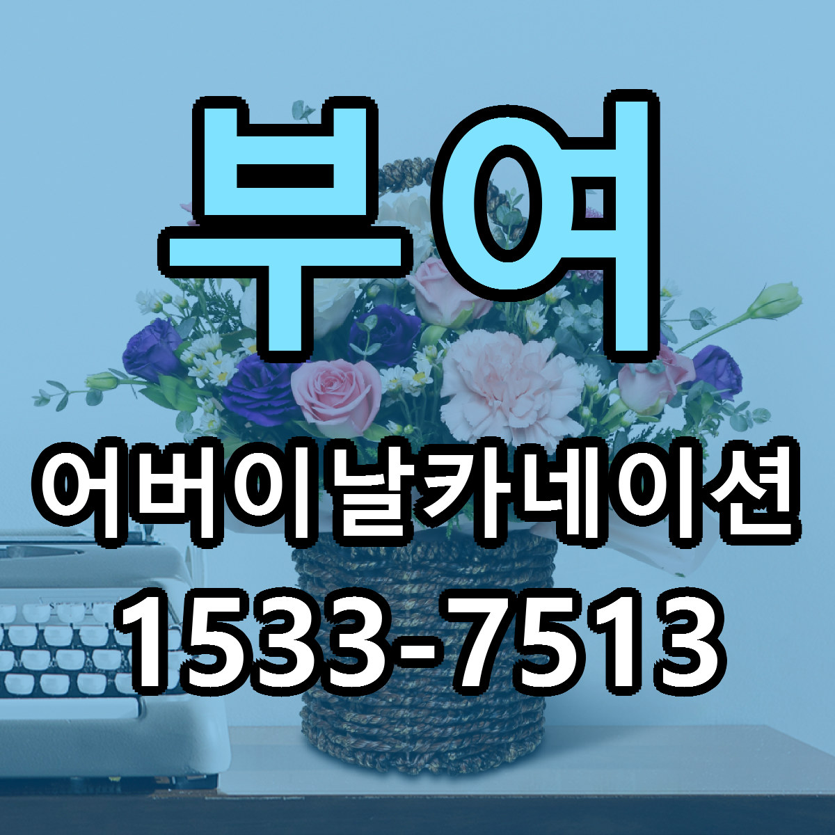 부여 어버이날카네이션 근처꽃집 당일배송 리본문구 서비스