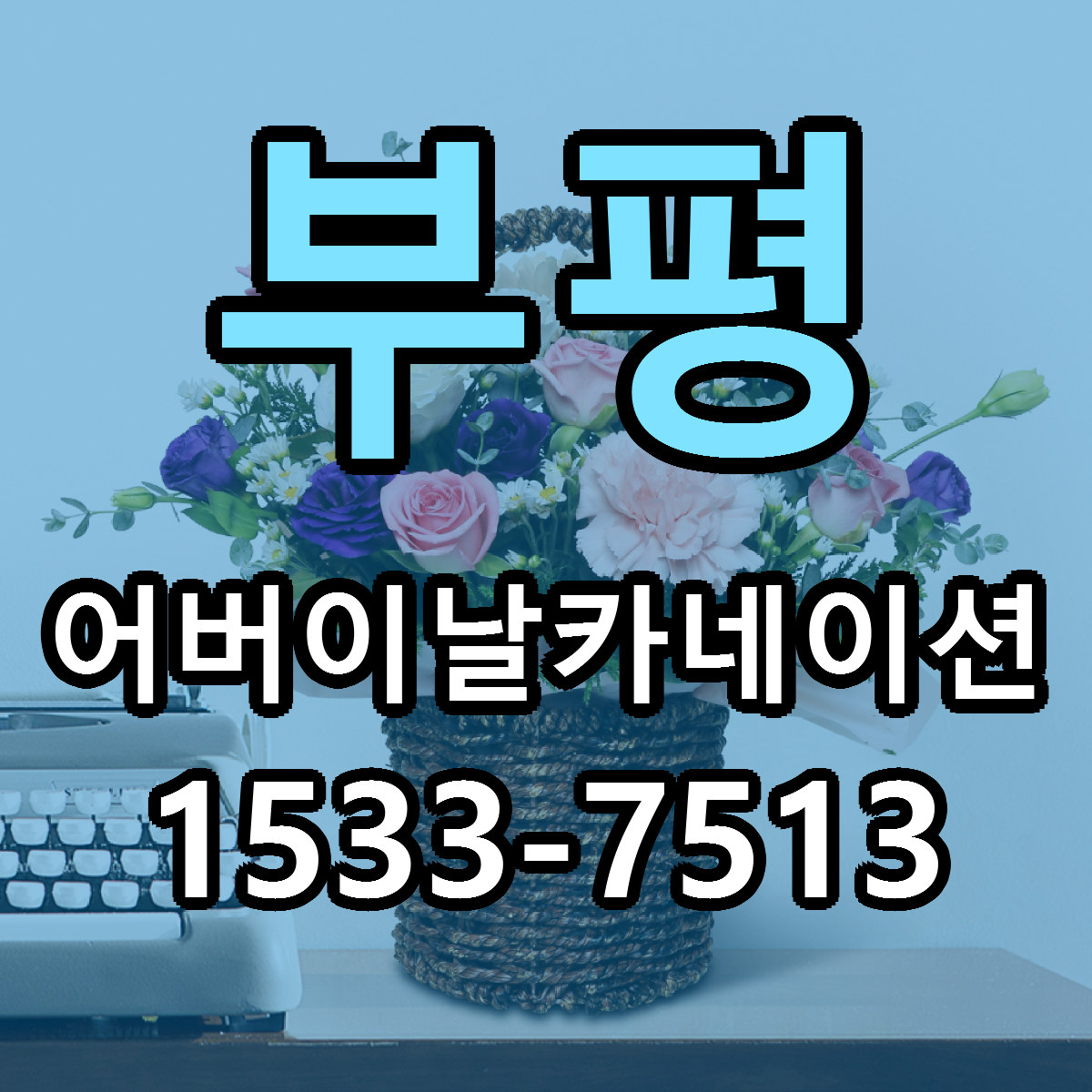 부평 어버이날카네이션 빠른배송 가격 저렴한곳 찾기