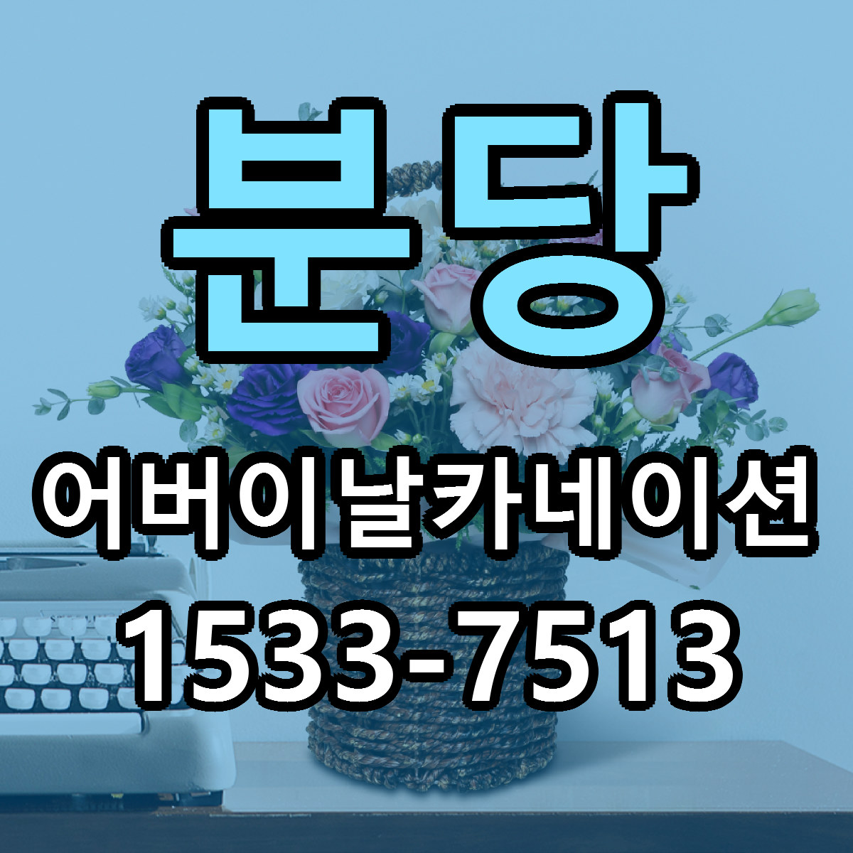 분당 어버이날카네이션 빠른배송 가격 저렴한곳 찾기
