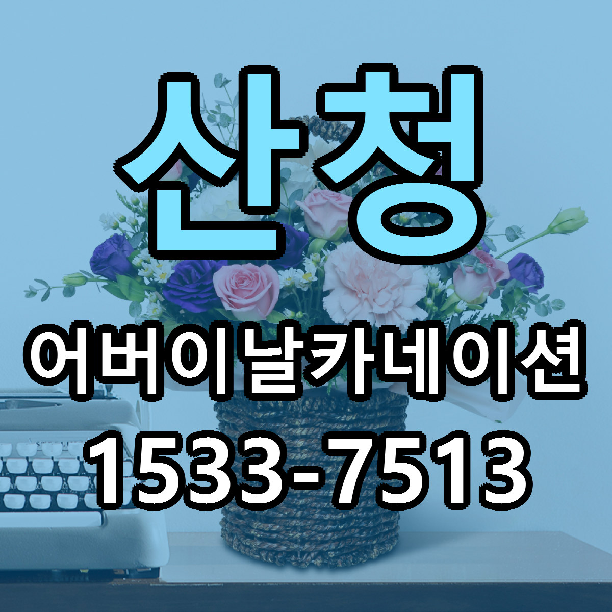 산청 어버이날카네이션 근처꽃집 싼곳 빠른배송 안내