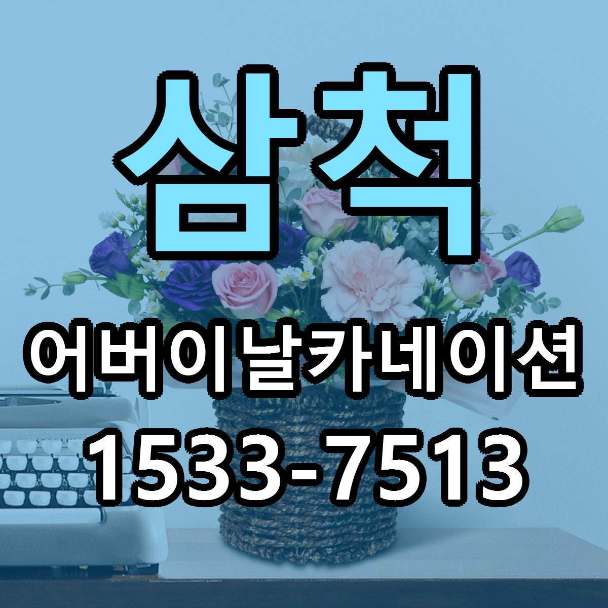 삼척 어버이날카네이션 빠른배송 근처꽃집 가격 비교