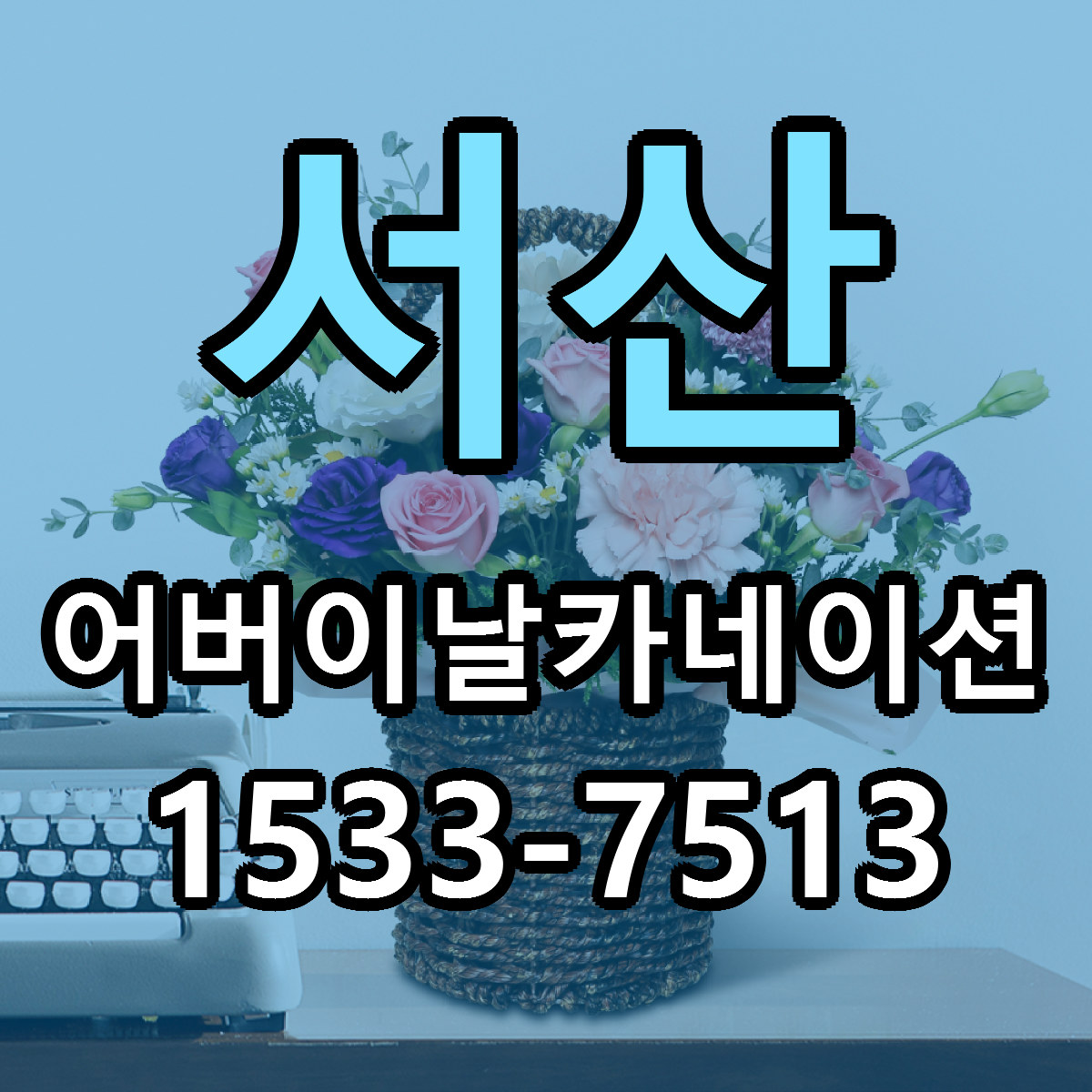 서산 어버이날카네이션 싼곳 당일배송 빠른배송 추천