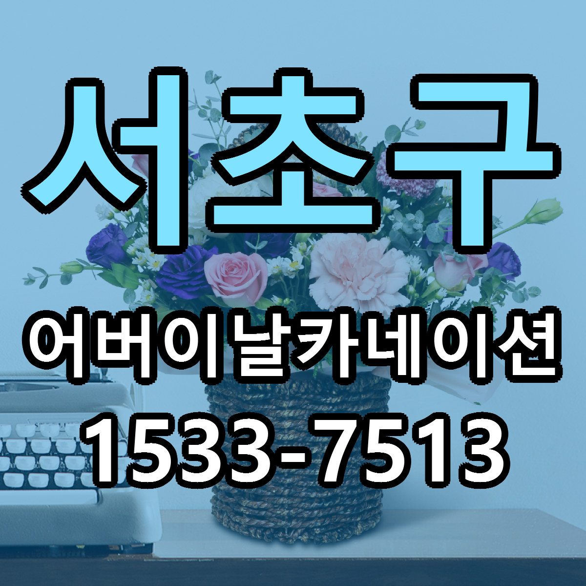 서초구 어버이날카네이션 저렴한곳 당일배송 가격 만족