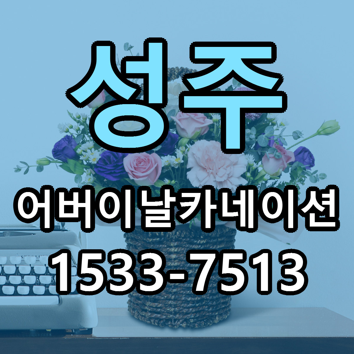 성주 어버이날카네이션 싼곳 빠른배송 리본문구 무료