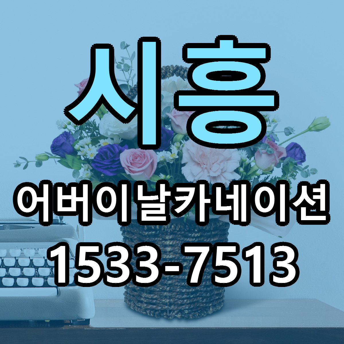 시흥 어버이날카네이션 빠른배송 가격 저렴한곳 찾기