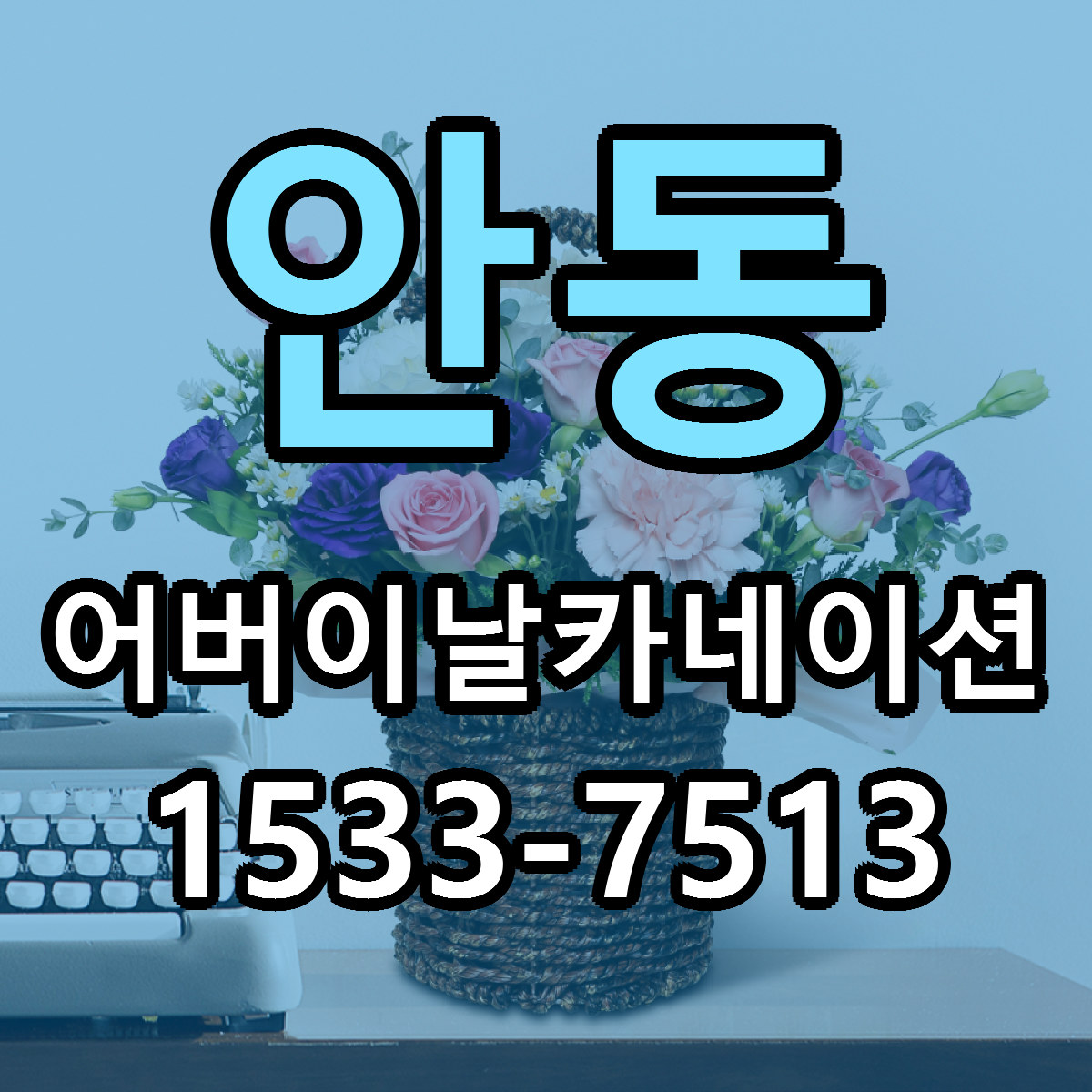 안동 어버이날카네이션 빠른배송 근처꽃집 가격 비교