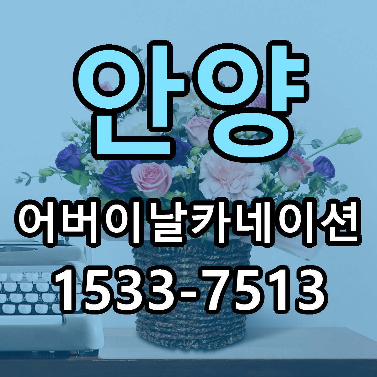 안양 어버이날카네이션 빠른배송 가격 저렴한곳 찾기