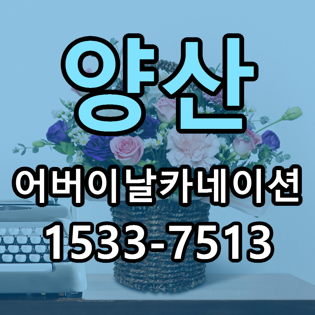 양산 어버이날카네이션 빠른배송 리본문구 근처꽃집 예약