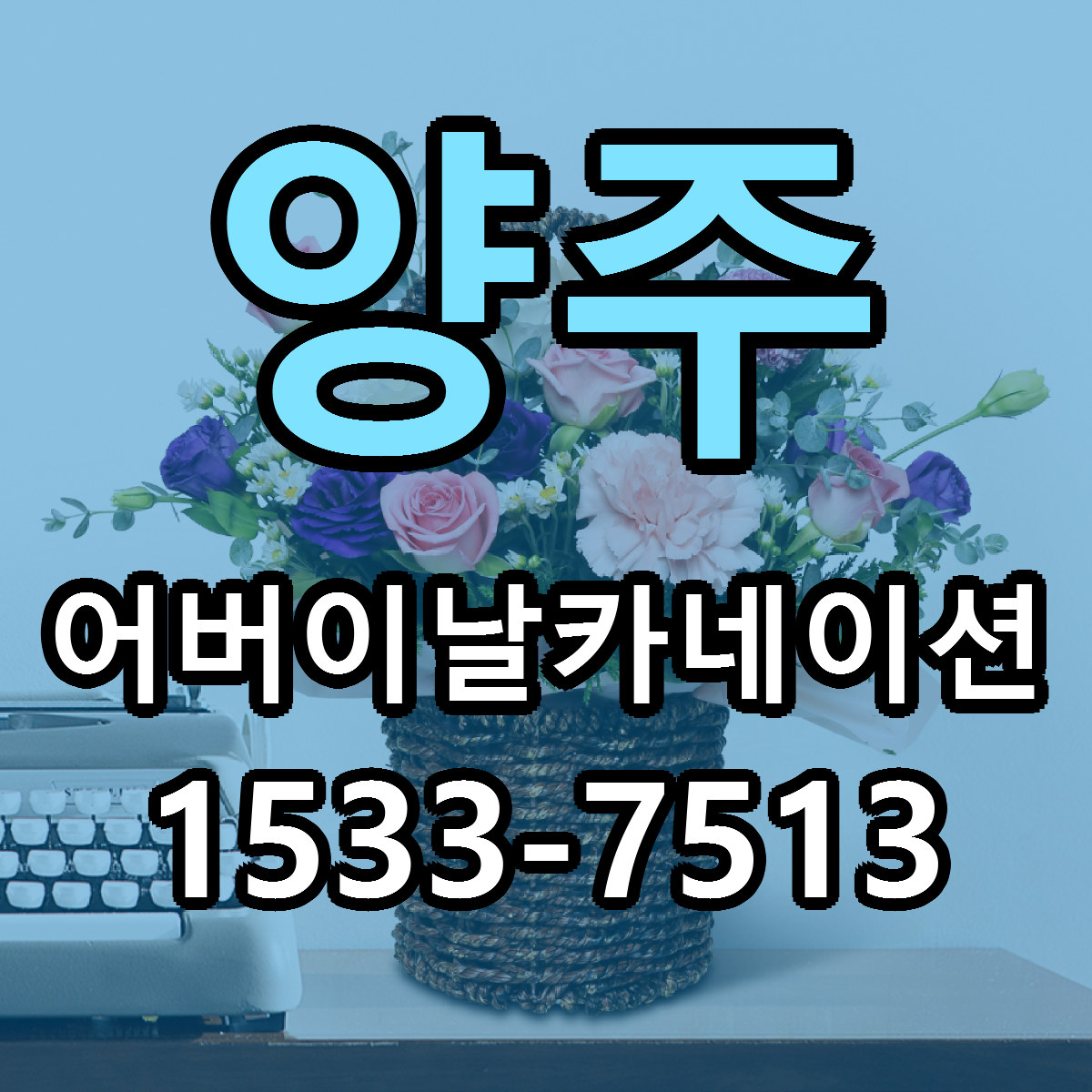 양주 어버이날카네이션 근처꽃집 가격 저렴한곳 안내