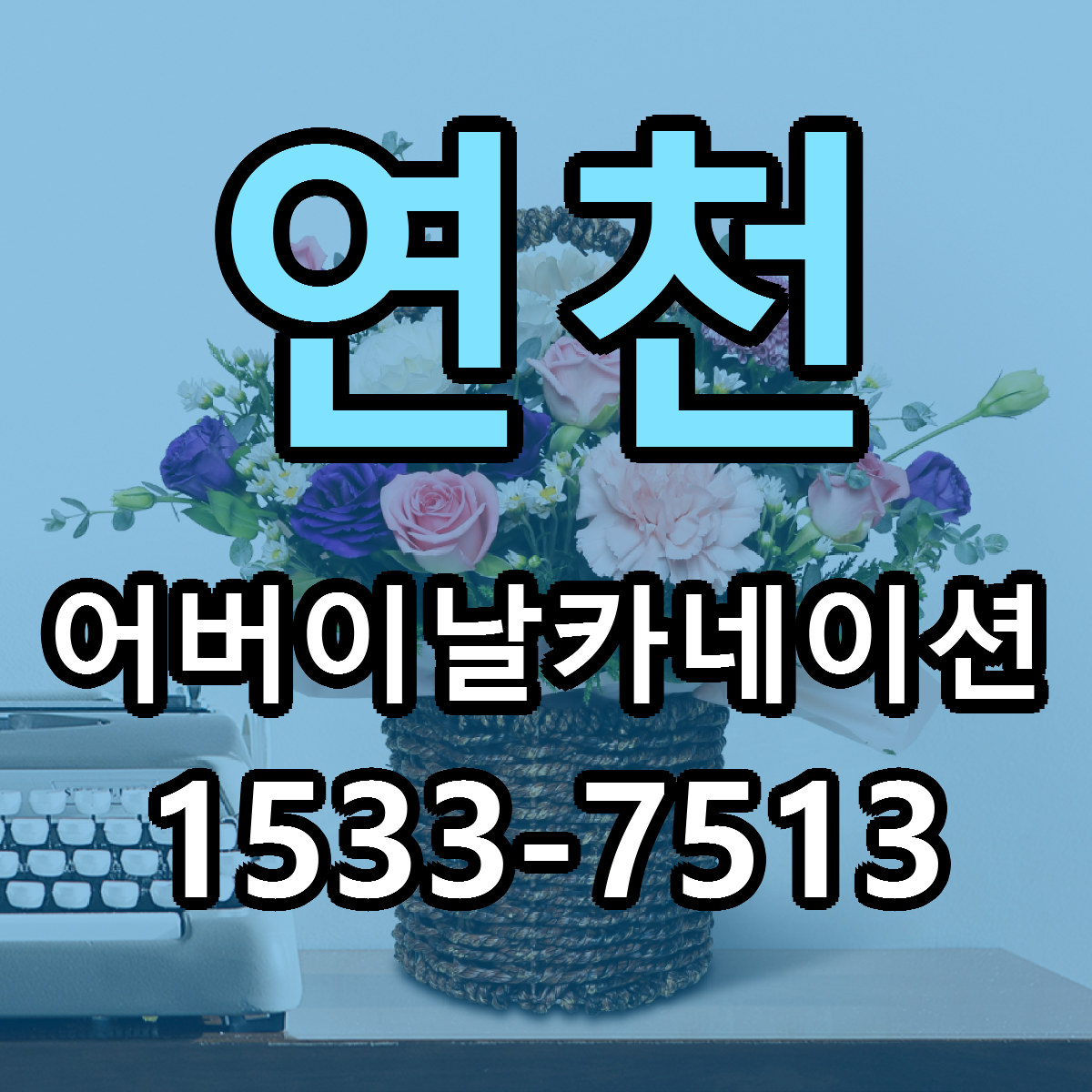 연천 어버이날카네이션 싼곳 당일배송 빠른배송 추천